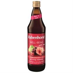 Rabenhorst | Rabenhorst Well-Being with Iron 750ml | 750ml Supply