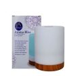 Absolute Aromas | Aroma-Bliss Diffuser 1 Box | 1 box Online Sale