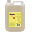 Alana | Citrus Orchard Natural Shampoo 5L | 5000ml Supply