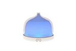 Absolute Aromas | Aroma-Blossom Ultrasonic Diffuser | 1one size For Sale