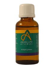 Absolute Aromas | Eucalyptus Globulus Oil 30ml | 30ml Discount