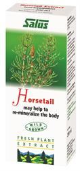 Salus | Horsetail Fresh Plant Juice 200ml | 200ml Online Sale