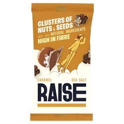 RAISE Snacks | Caramel Sea Salt Chocolate Clusters of Nuts and Seeds 35g | 35g Online Hot Sale