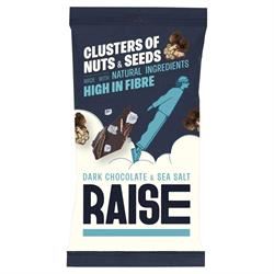 RAISE Snacks | Dark Chocolate & Sea Salt Clusters of Nuts and Seeds 35g | 35g Hot on Sale