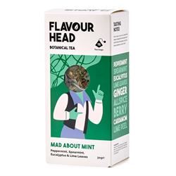 Flavour Head |  Flavour Head Botanical Infusions Mad About Mint Tea 15 s | 15bag Supply